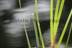 Kivisto-Water-Blades